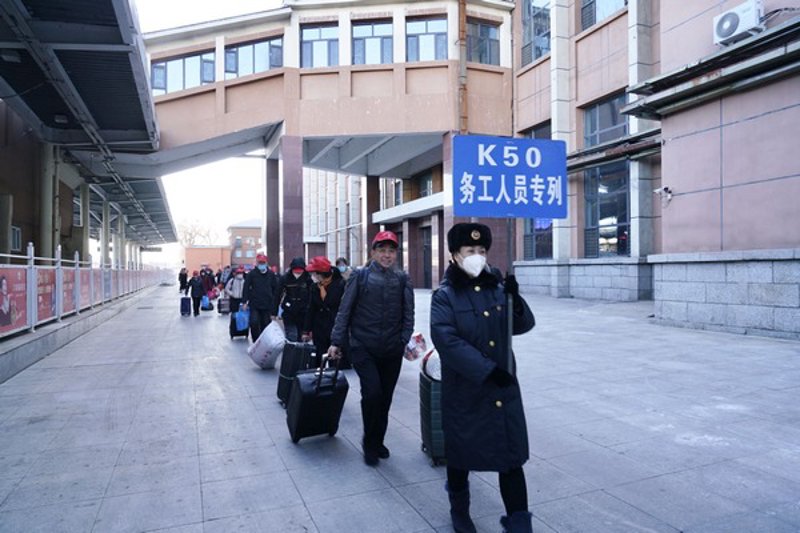 广州蚂蚁搬家——城市里的微小搬运者